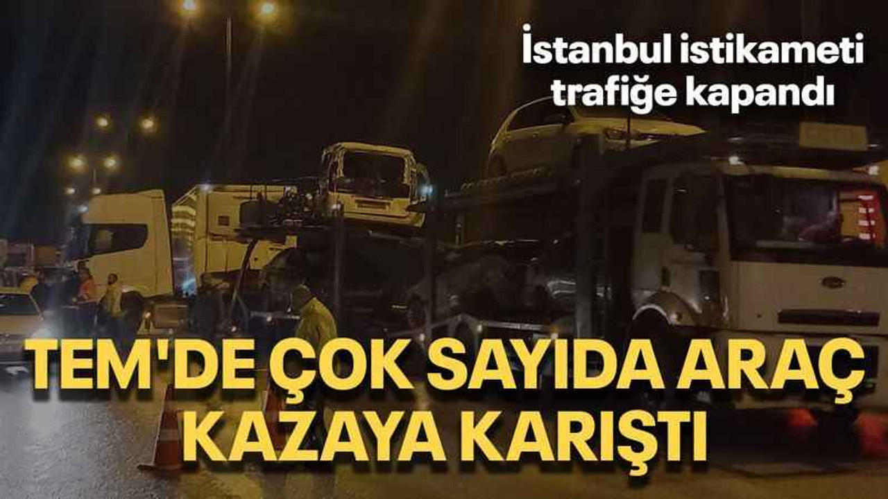TEM'de çok sayıda araç kazaya karıştı: İstanbul istikameti trafiğe kapandı